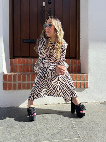 Traces of the Creator - Huellas del Creador