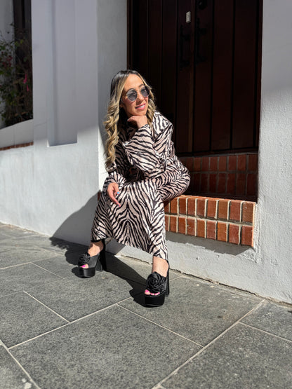 Traces of the Creator - Huellas del Creador